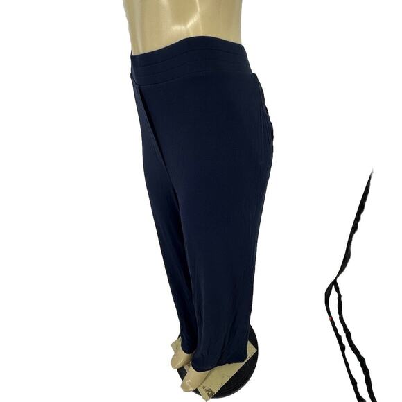 Pure Jill Plus Size 3X Eco Terry Pants Blue Stretch Pockets Pull On Comfy 26-19 - Picture 3 of 10